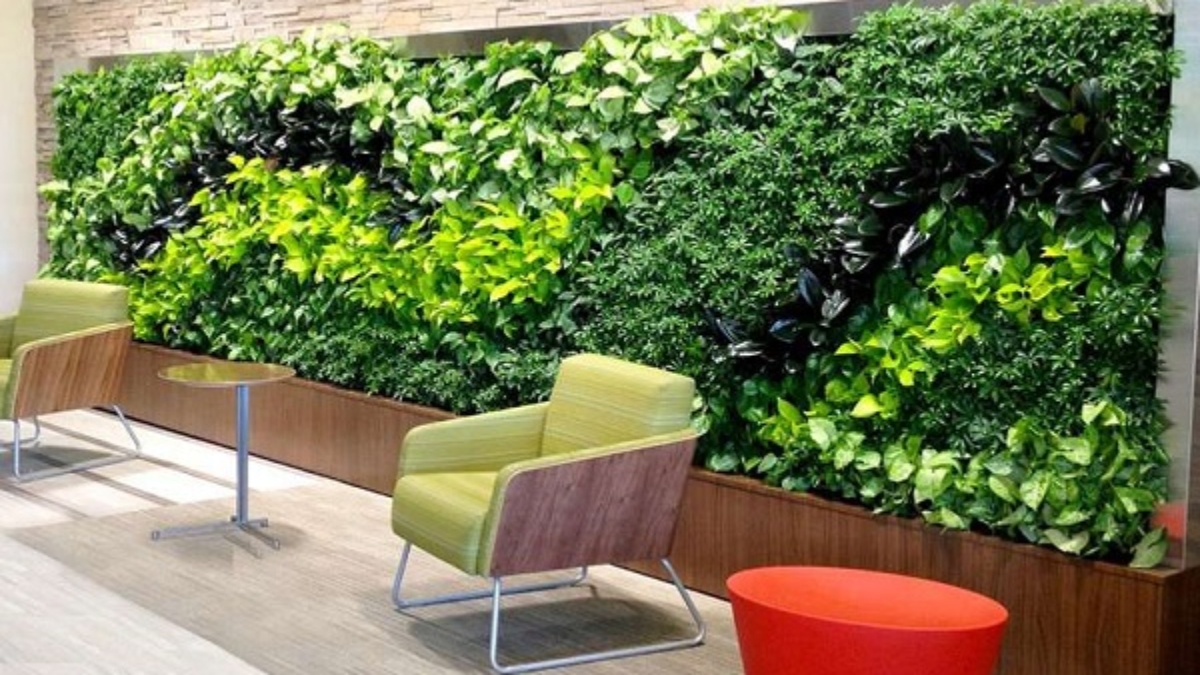 ۱۰ مورد از بهترین گیاهان مناسب دیوار سبز