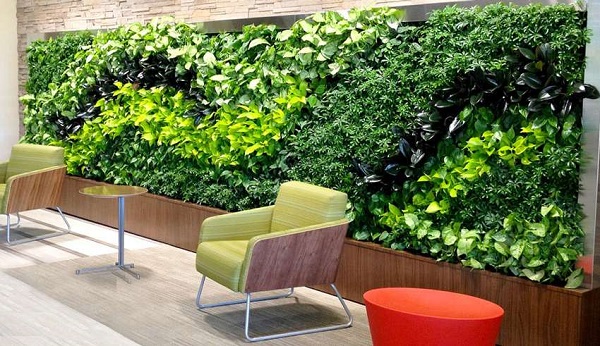 ۱۰ مورد از بهترین گیاهان مناسب دیوار سبز