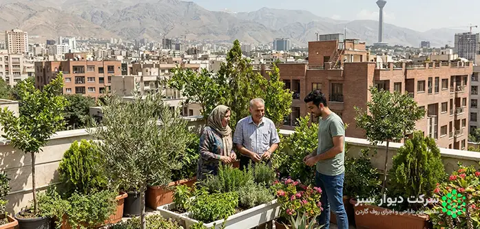 بهترین گیاهان نصب شده در روف گاردن تهران