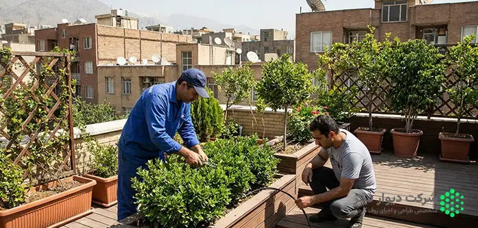 آبیاری و نگهداری از گیاهان روف گاردن