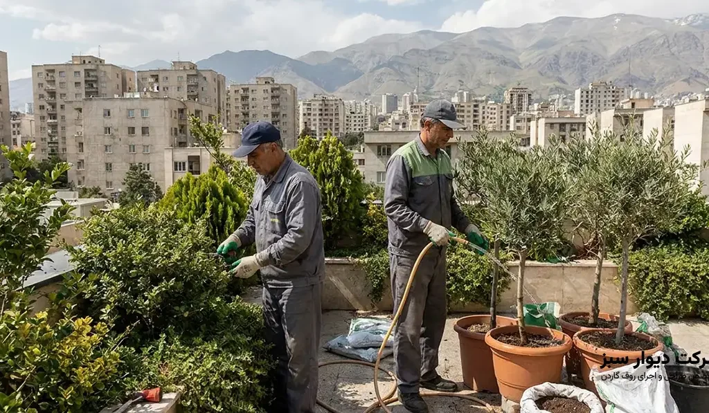 هزینه نگهداری روف گاردن