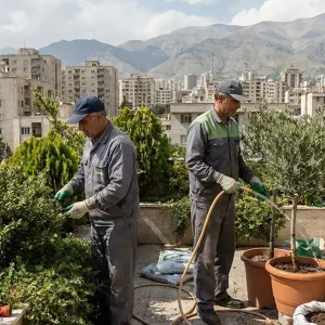 هزینه نگهداری روف گاردن