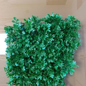 دیوار سبز مصنوعی - گلپر